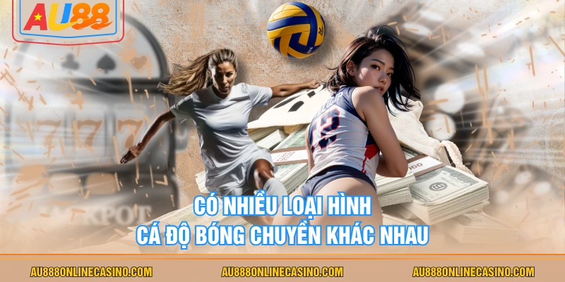 Có nhiều loại hình cá độ bóng chuyền khác nhau