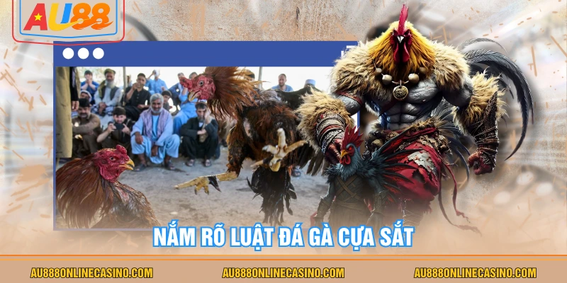 Nắm rõ luật đá gà cựa sắt