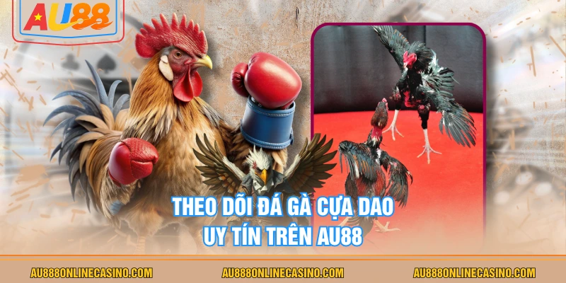 Theo dõi đá gà cựa dao uy tín trên AU88