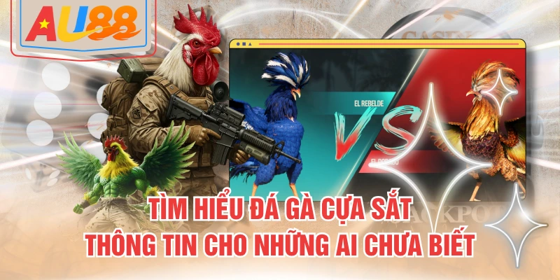 Đá gà cựa sắt